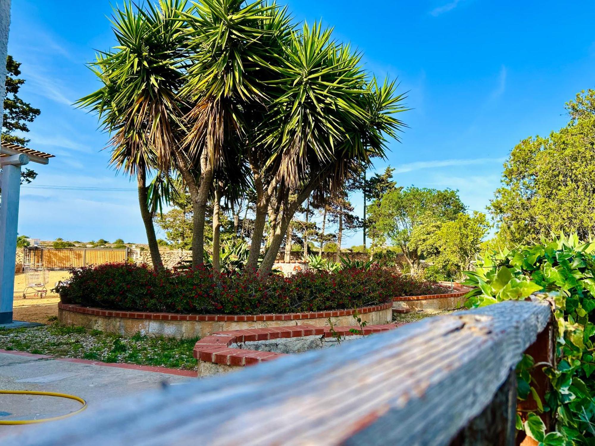 Villa Primavera Favignana Luaran gambar